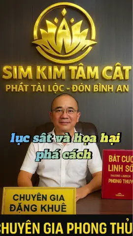 #simtamcat #simphongthuy #simhoptuoi #nangluongxau #phongthuydangkhue