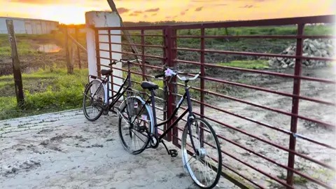 Sunset 🌅 #potjessu #suriname #suriconcept #rodeo #fyp 