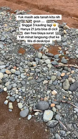 Yuk guys masih ada tanah kita hanya 21 jt UK 5 x 15 gratis biasnya surat dan bisa d cicil Lokasi di jalan Sudama kec binjai Hanya 15 menit dar kota binjai 5 menit dari pintu tol dan stasiun KA Surat sk camat pelepasan notasi bisa naik Shm bebas banjir tanah pribadi  Minat langsung hubungi wa saya  Wa 081260529236  #tanah #jualtanah #masukberanda 