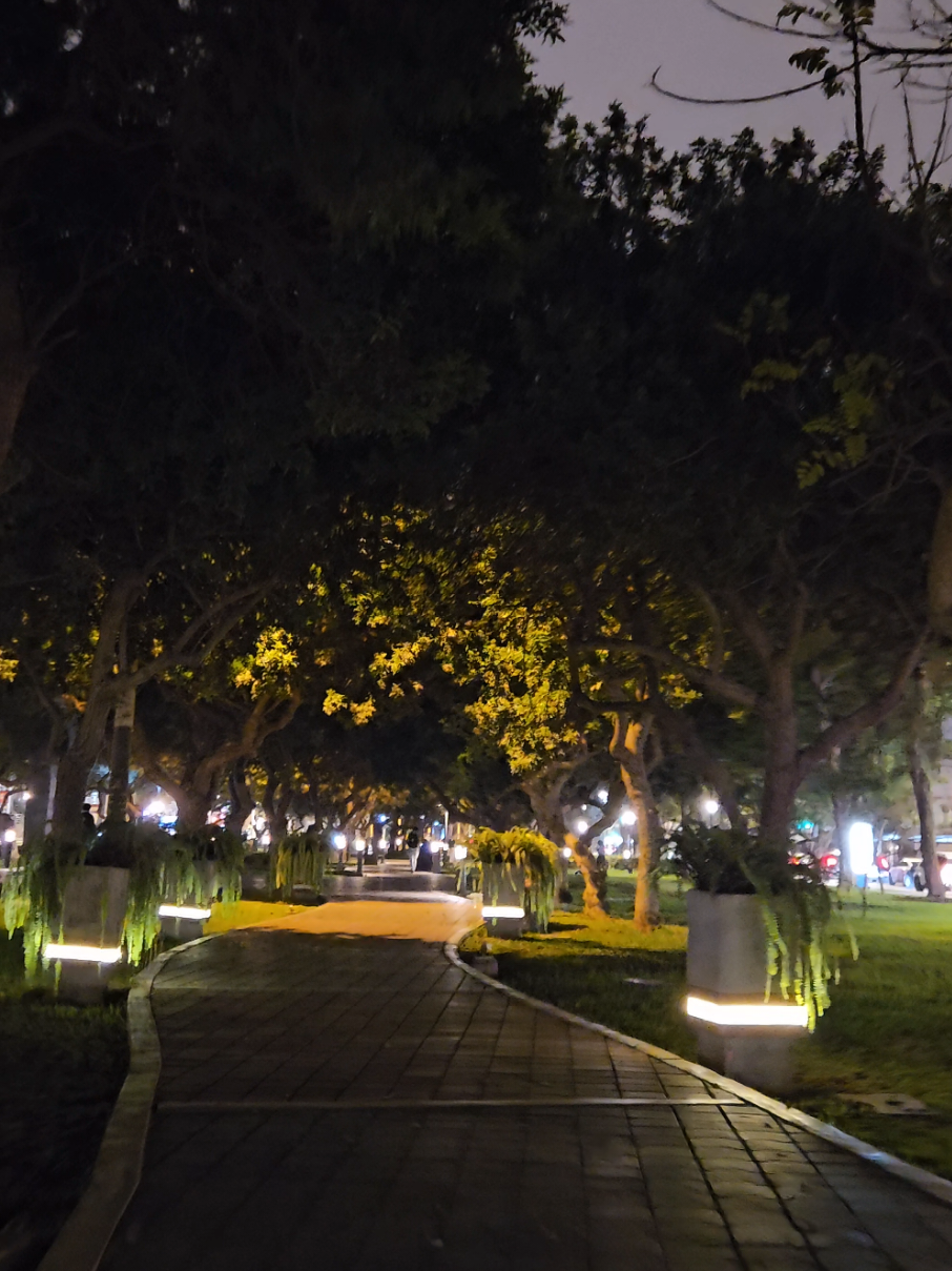 Que tranquilidad genera caminar por la Alameda de la Peruanidad. ¿Ya la conoces? @PaisajeAndo @PaisajeAndo @PaisajeAndo  #SanBorja #limaperu🇵🇪 #tranquilidad #peruanosenelmundo #creatorsearchinsights 
