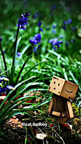 Aku sudah berusaha jadi diriku sendiri #fypシ #Rizal.Sadboy🥀 #sad #sadboy #storykeren 