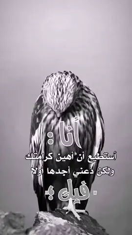 #مصر_الكويت #ابورورو #اتفرج_على_تيك_توك #ابورورو #مصر_الكويت ❤️❤️❤️