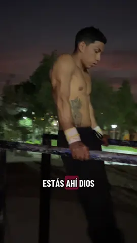 CALISTENICO TODA LA VIDA 