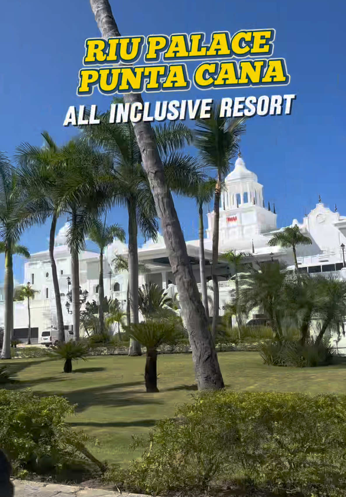 EL MEJOR RESORT DE PC PARA MI, LO AMOOOOO, volvería una y mil veces. 🌴🐚🍻 El mejor POOL PARTY del país lo celebran 4 días a la semana (cada uno con temática diferente) en la cadena de hoteles RIU, no se arrepentirán nuncaaaaa. #riuhotels #riuparty #poolparty #puntacana #riupalace #rd #turismo #fyp #latingirl #allinclusive #resort 