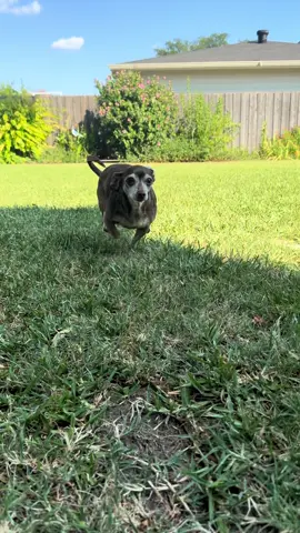 Fast as lightning ⚡️ 