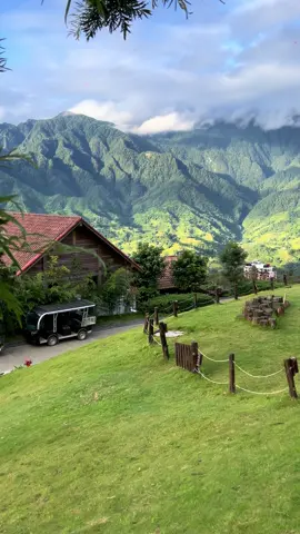 Thung lũng chuyển màu vàng #luniem #villedemontmountainresort 