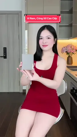 Ví Nam, Công Sở Cao Cấp