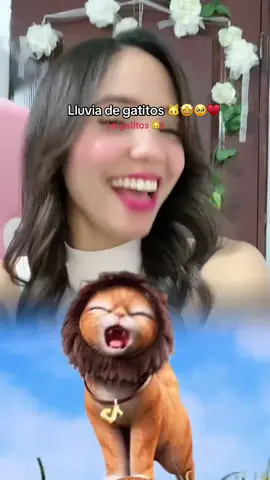 Mi Rodri no me esperaba esta sorpresa tan linda 🙏🏻🥹🫶🏻 #gatitos 