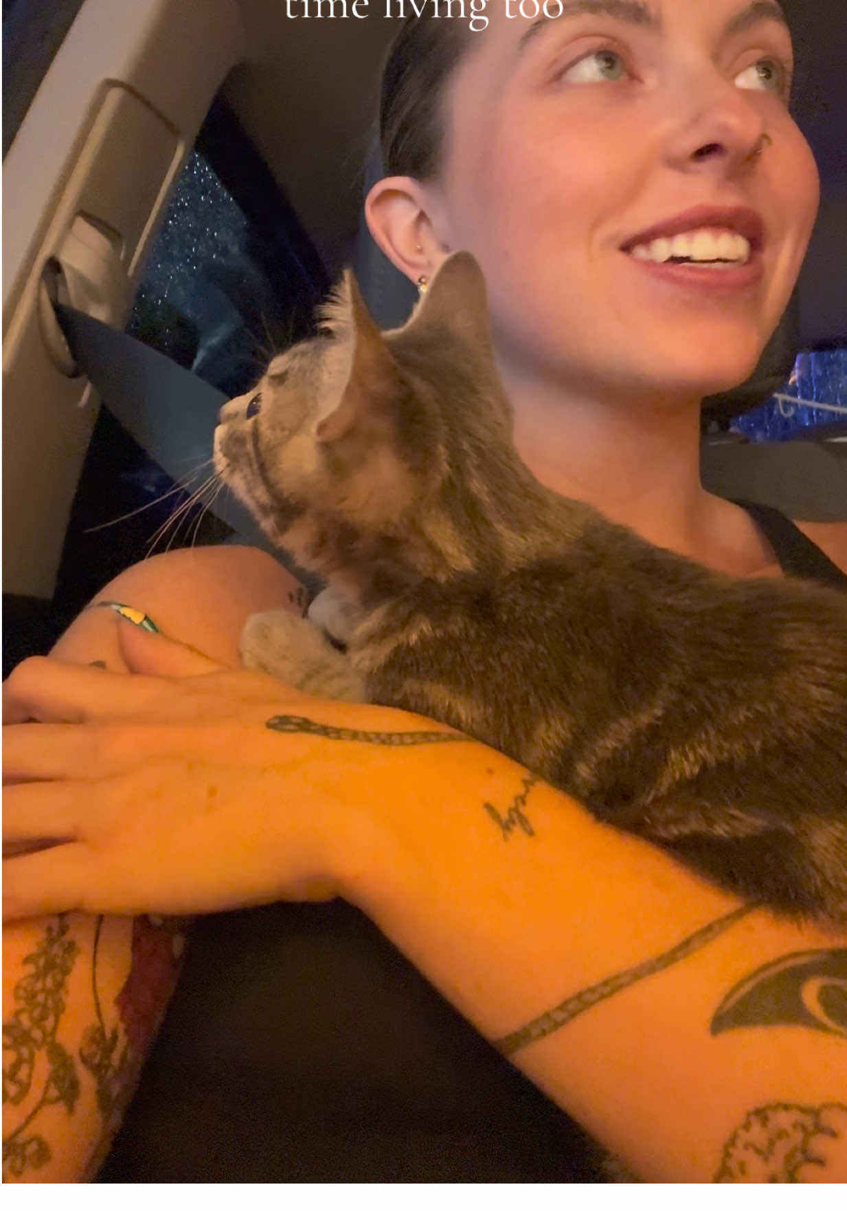 I think it’s safe to say He enjoyed the car wash, poppy did not though. #carwash #cats #kitten #newexperience #catsoftiktok 