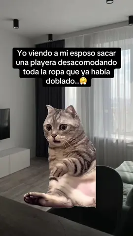 #MemeCut #viralvideos #jajaja #paratiiii 