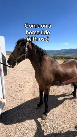 my favorite kind of days :) #horserides #utah #utahmountains #familydays #funfamilyactivities 