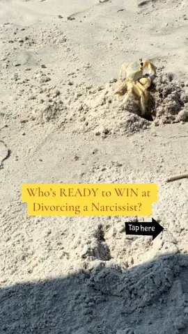 Who’s ready to WIN at Divorcing a Narcissist? #divorce #divorcinganarcissist #divorcetok #fypシ #divorcing 