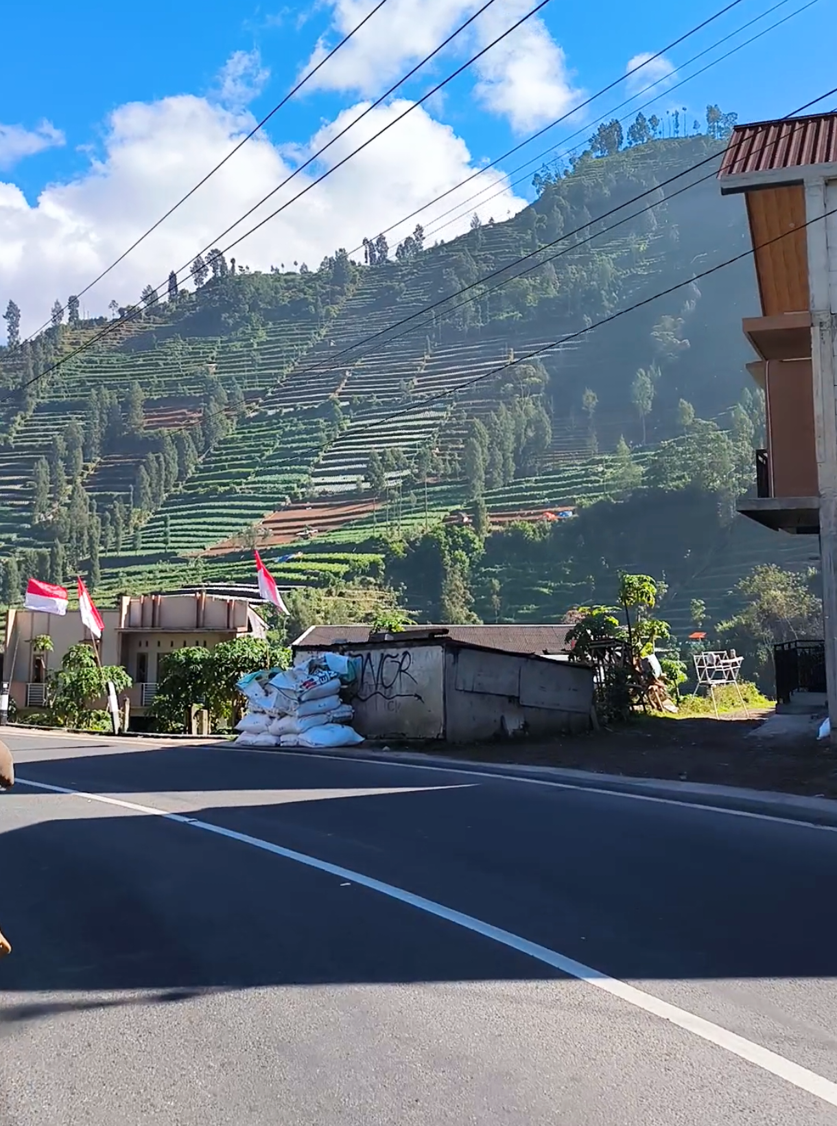 Dieng emang candu banget, buat kalian yang lagi stacation wajib banget nginep  😍#diengwonosobo #titiknoldieng #opentripdieng #Dfcdieng #penginapandieng 