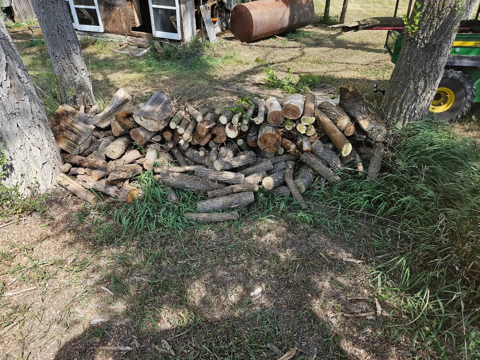 cut up a bunch of trees today and a big a$$ bonfire 