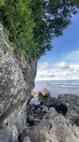 🌊🌿 #fypシ 