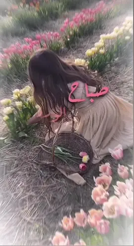 #صباح_الورد_بألوانه💐🌹🌷🌺🌸🌻 #صباح_الحب_والشوق_والسعادة😍❤ 