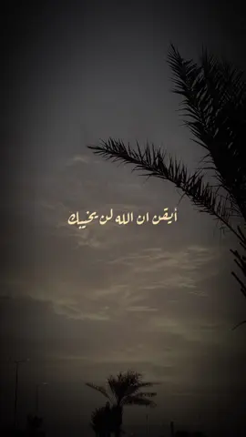 اصبر  🕊️ والله يعلّم وأنتم لاتعلمون  🤍🌿