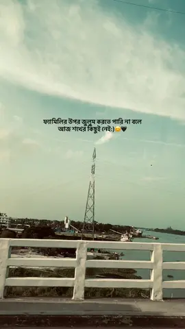 ফ্যামিলির উপর জুলুম করতে পারি না বলে