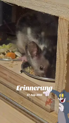 #erinnerung