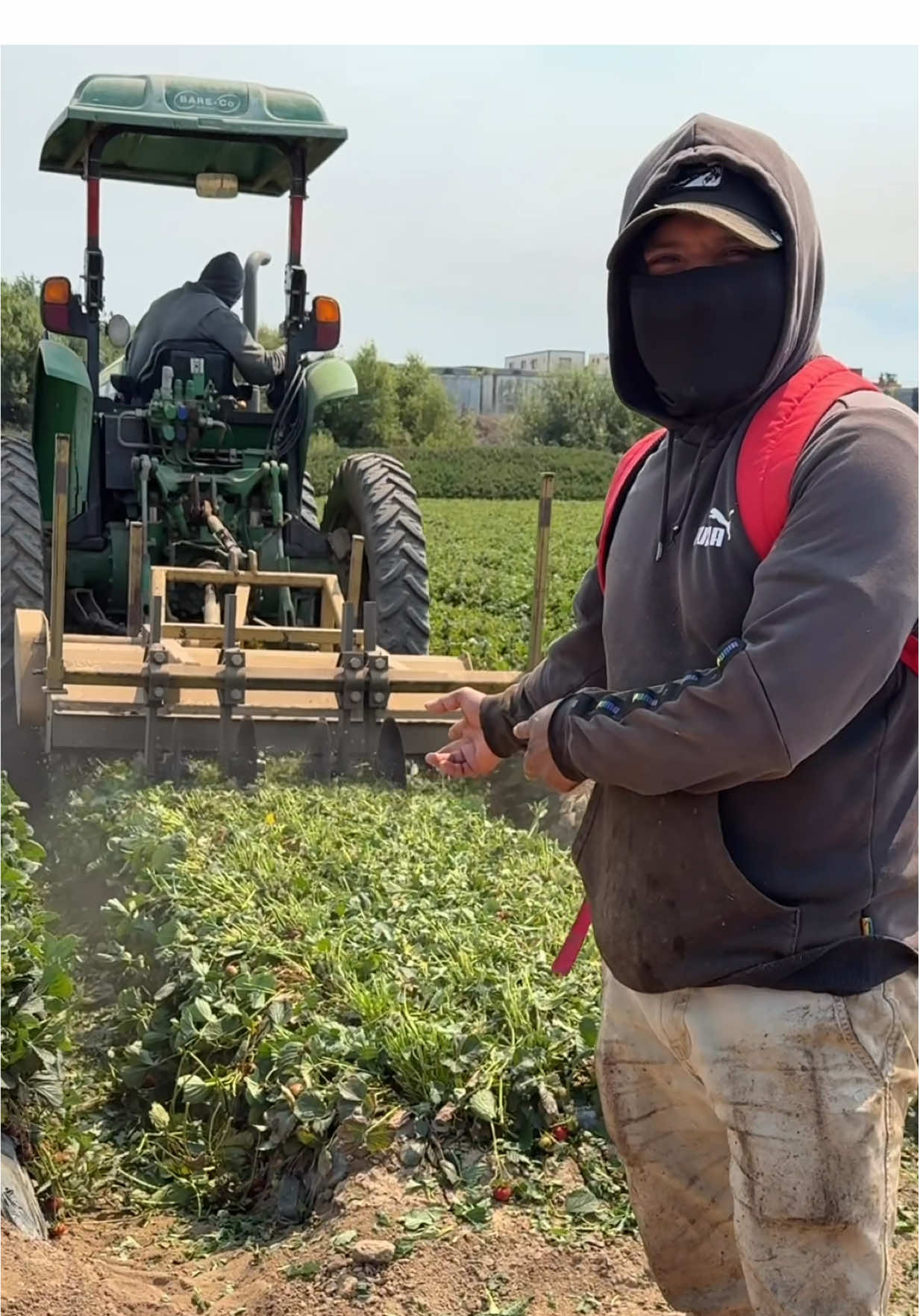 Se nos cabo el trabajo de verano 🇺🇸🧑‍🌾🍓 #campesino #creatorsearchinsights #fresa #sueñoamericano #california 