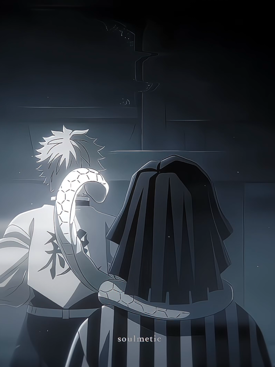 ( #obanai & #sanemi  ) เจ็ดว่าดัด . . . | #demonslayer #kimetsunoyaiba #fyp 