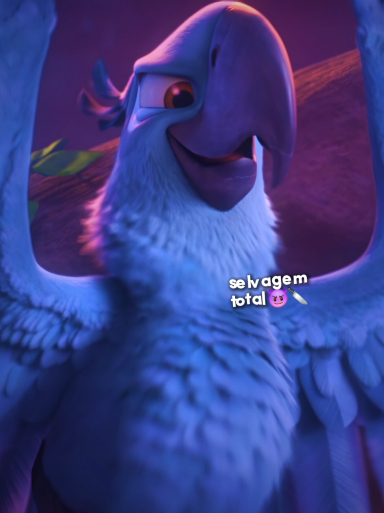 Você já pensou em quantos romances de araras já foram arruinados?😞 | #rio #riomovie #rio2 #blu #rioedit @Baberry 