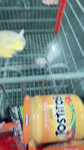#dogs #viral #funnyvideos😂 