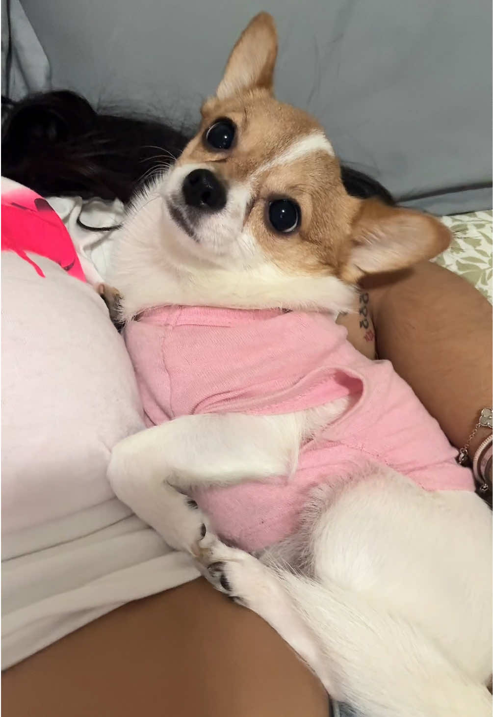 Meet my dad’s blind dog🥹🩷