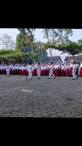 Upacara Hari Kemerdekaan RI ke 80 Tahun  #proklamasi #dirgahayuindonesia #indonesia🇮🇩 #merdeka #fyppppppppppppppppppppppp 