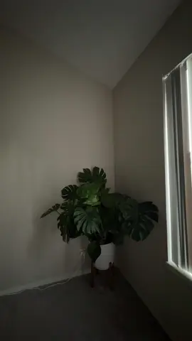 If you know me, look away! 