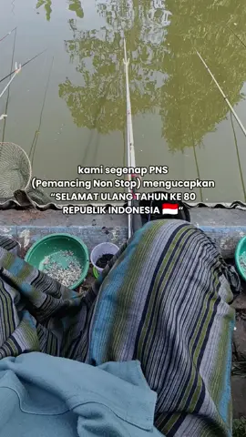 iwak iwak iwak #pemula #fyp #primadengkol  #nila #singosari @ardionprima 