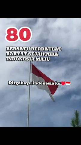happy independence day🇮🇩🤗#17agustus#80#serunya17an#fy 
