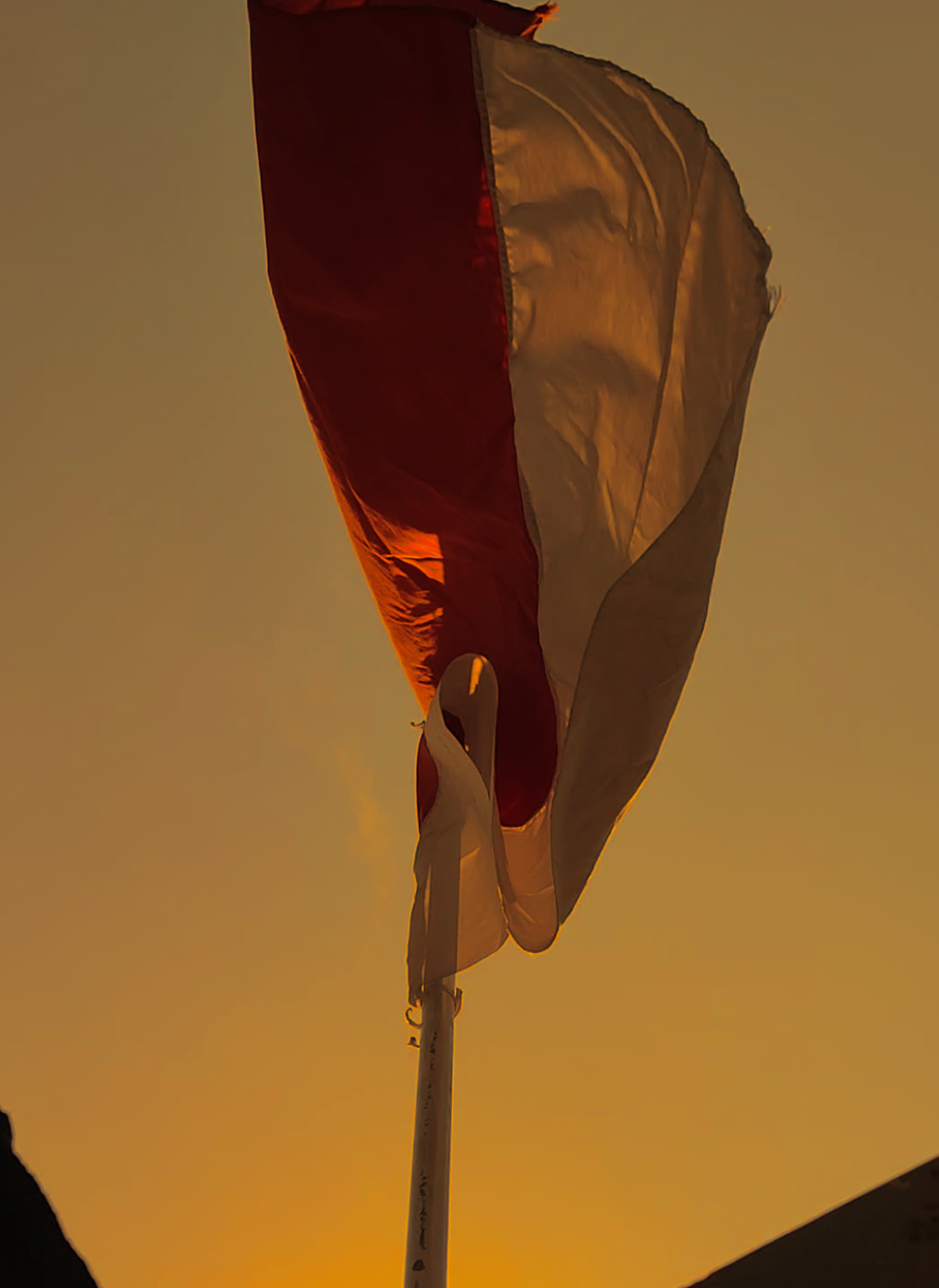 هذه بلادنا الحبيبة، بلاد ميلادنا، حيث سقط الأبطال من أجل هذا اليوم، حيث خاطر دماء أجدادنا من أجل استقلال هذه الأمة، فلنحتفل بهذا الاستقلال. Ini negara kita tercinta, negara kelahiran kita, dimana para pahlawan telah gugur demi hari ini,dimana darah nenek moyang kita dipertaruhkan untuk kemerdekaan bangsa ini,mari rayakan kemerdekaan ini dengan bangga,rasa cinta yang suci untuk tanah air, selamat atas berdirinya negara ini,yang genap 80 tahun. #hutri80 #dirgahayuindonesia #cintatanahair #indonesia🇮🇩 #kemerdekaanindonesia 