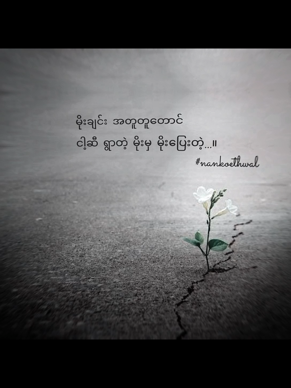 အဆုံးထိကြည့်ပေးပါအားပေးမှုကိုကျေးဇူးတင်ပါတယ် #foryou #စာတို #စာသား #စာတို☯ #စာတို💯 