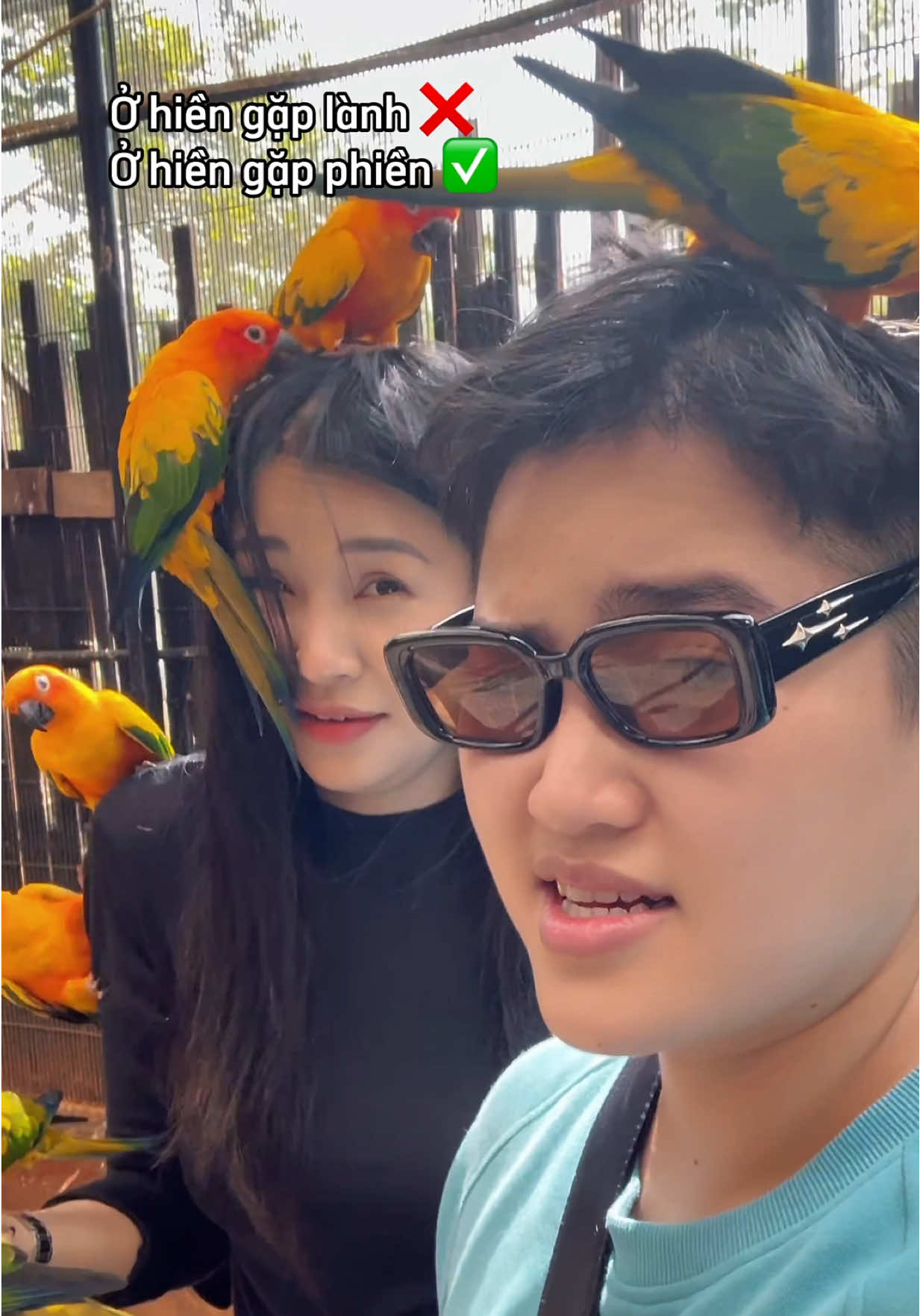 Thân chưa mà đậu? #HIMxNgot #fyp #couple #Vlog 
