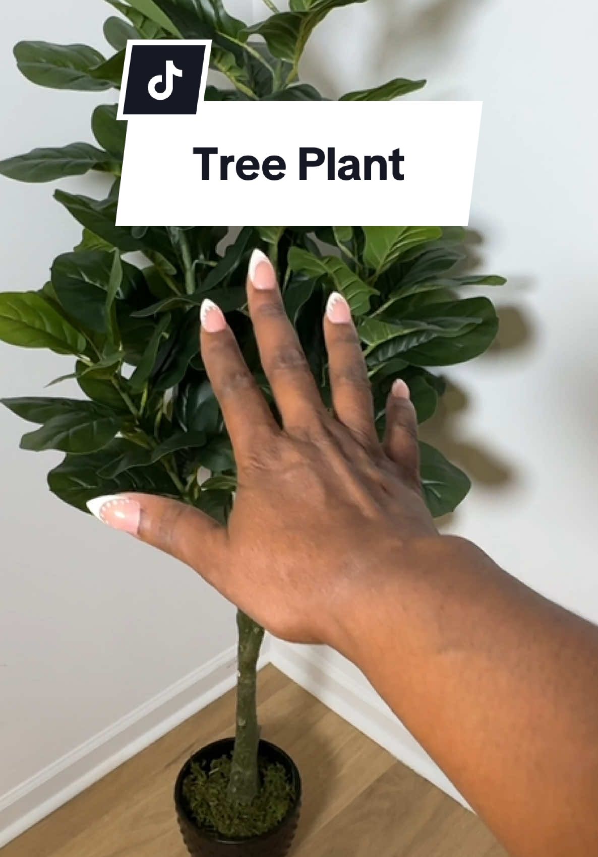 It’s a tree I know but I’m calling her my plant 😝. Should I put it on a stand? And if you want one it’s linked in that orange shopping cart. #GreenThumb #TikTokShopCreatorsPick 