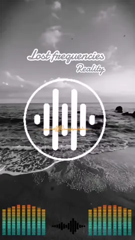 #lostfrequencies #reality #music #melody 