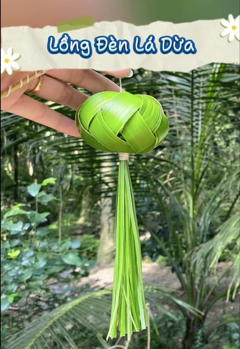 Làm Lồng Đèn Bằng Lá Dừa | Coconut Leaf Craft #handmade #origami #coconut #lồngđèn #ladua #quehuong #mientay #trungthu #fyp #xuhuong #viral #caocaoladua #trangtri #craft 