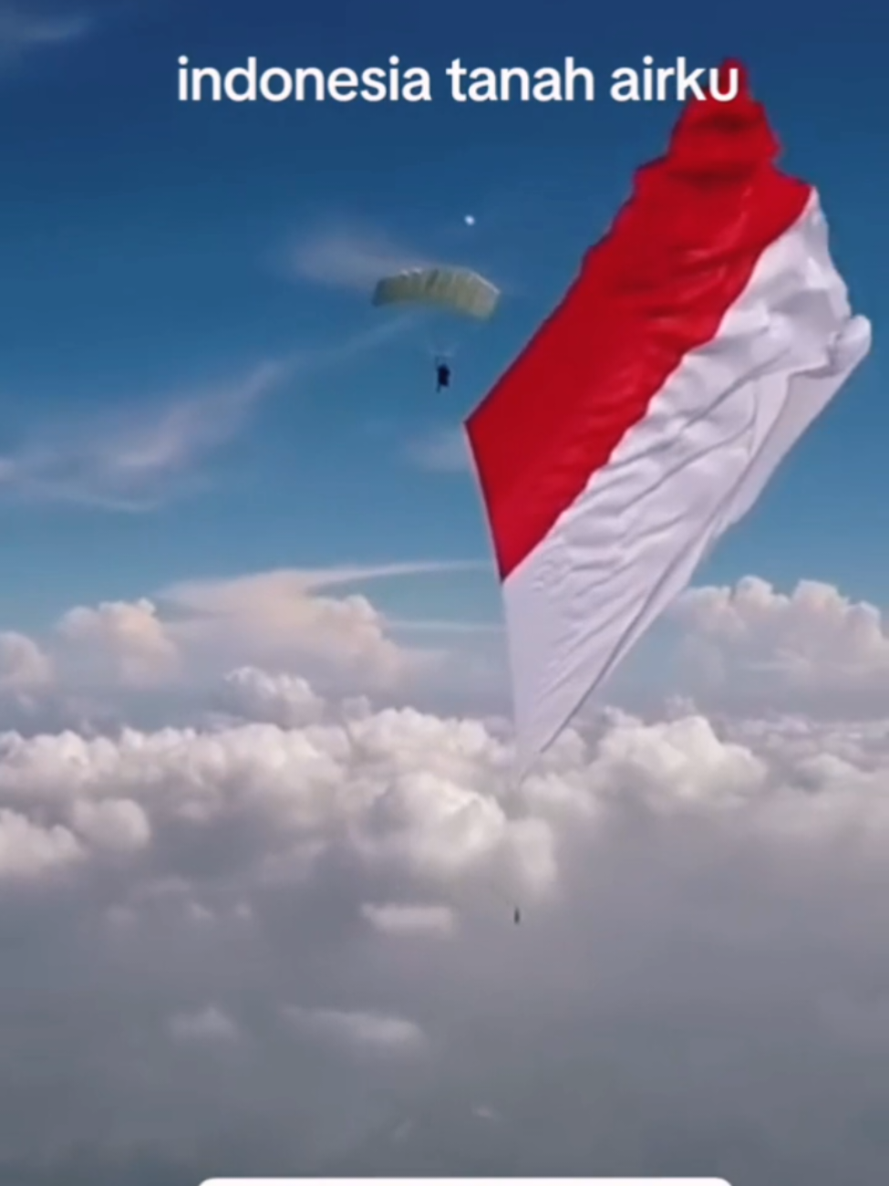 80th indonesia merdeka #fyp#hutrike80