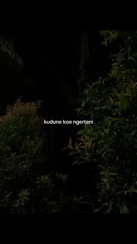 tulus dibales loro kuwi ra adil🥀.#liriklagu #lagujawa #galaubrutal #lyricsvideo #fyp 