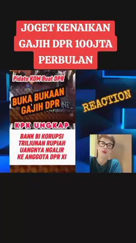 kenaikan gajih DPR ..#fyp #gubenurjawabarat #kdm 
