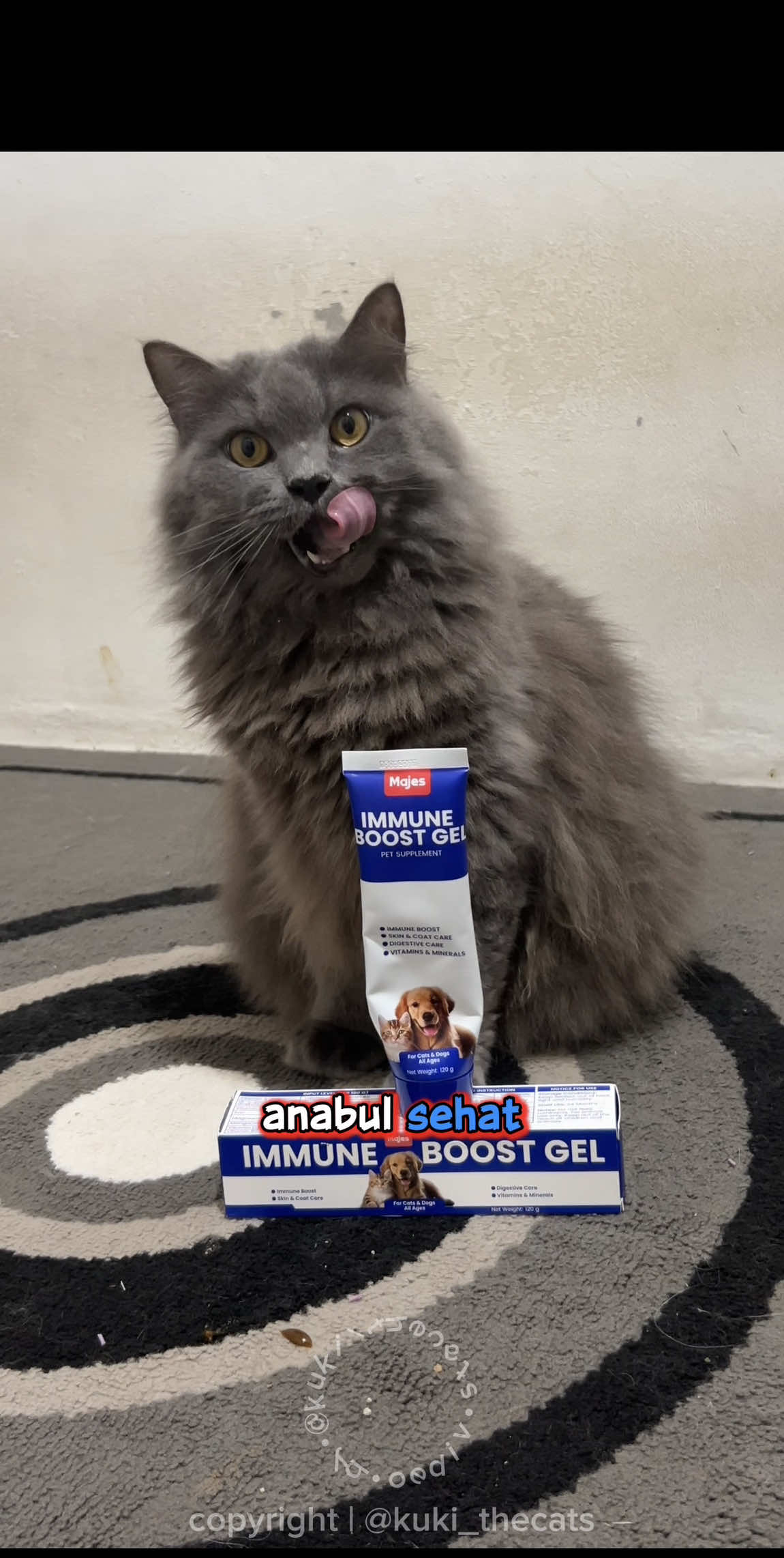 @kuki_thecats suplement vitamin untuk kucing dan anjing bagus untuk imun agar kuat, bulunya bagus, dan sehat. gak mudah sakit dan membantu memulihkan si anabul dari paska sakit juga 😻✨ vitaminnya lezat gampang dimakan sama si anabul, mudah di berikan karena sianabul suka, bagus untuk pencernaanya nya juga. the best untuk si kesayangan 😻 kalau mau ada dikeranjang ya pawrents 😽👌🏻 #MajesPets #Majes #immuneboostgelmajes #majesimmuneboostgel #immuneboostgel 