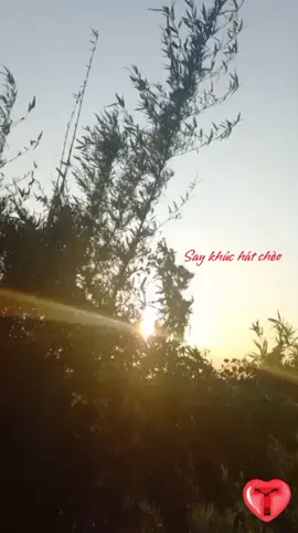 THU VỀ TRÊN QUÊ MẸ  ---HÁT CHÈO Tb.NSUT VIỆT THẮNG Video.Trần Đức Thạch #saykhuchatcheo #hatcheothaibinh #hatcheotruyenthong #hatcheotiktok #dutrendtiktok 