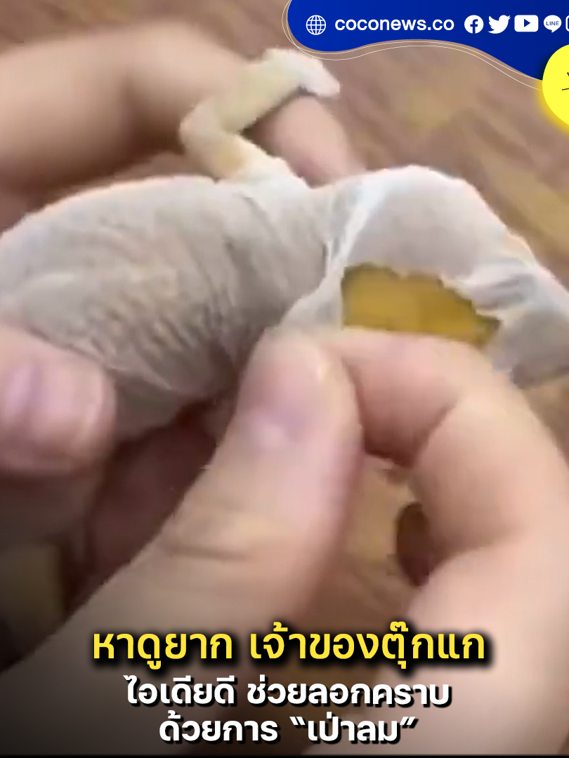 Sequence 01เจ้าของไอเดียดี 
