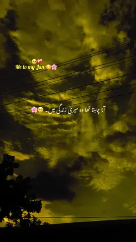 میں نے بھی جانے دیا 🥹❤️‍🩹#aesthetic #poetry #poetrystatus #grow #account 
