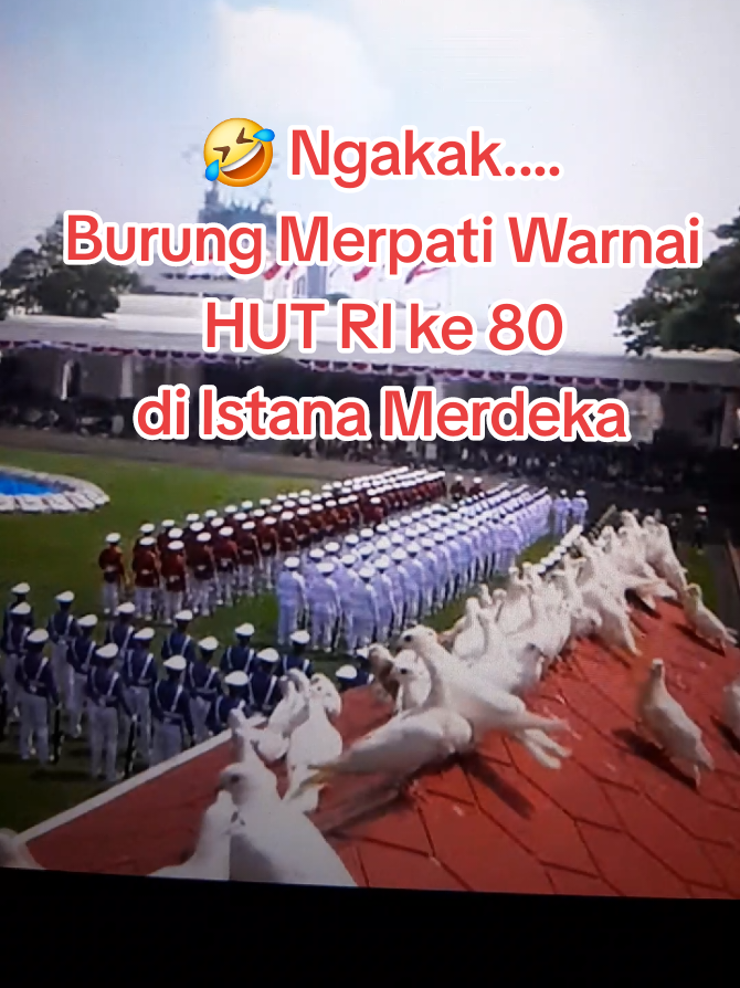🤣 Ngakak... Burung Merpati Warnai HUT RI ke 80 di Istana Merdeka #hutri80 #hutri80indonesia🇮🇩 #17agustus #17agustus2025 #merdeka 