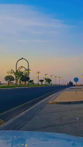 #السعوديه🇸🇦💚 #اكسبلور #fyp #foryou 