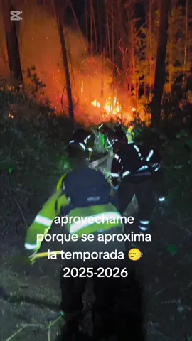 Se aproxima 🔥 #incendios #conaf #forestal #temporada 