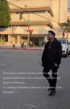 Terroristas sionistas atacan a manifestantes que apoyan a Palestina y Gaza. Atacan a todos los que apoyan a Palestina.  Les molesta la bandera palestina y las palabras 