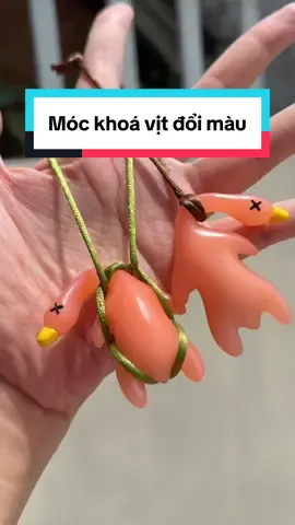 Phát hiện mới😜 #mehenry3110 #fyp #vitdoimau #mockhoavitdoimau #vitdoimaugaptiauv 